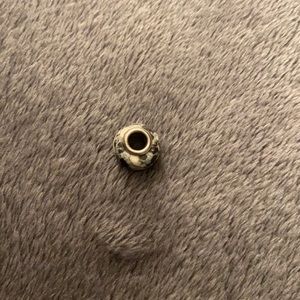 Pandora Charm